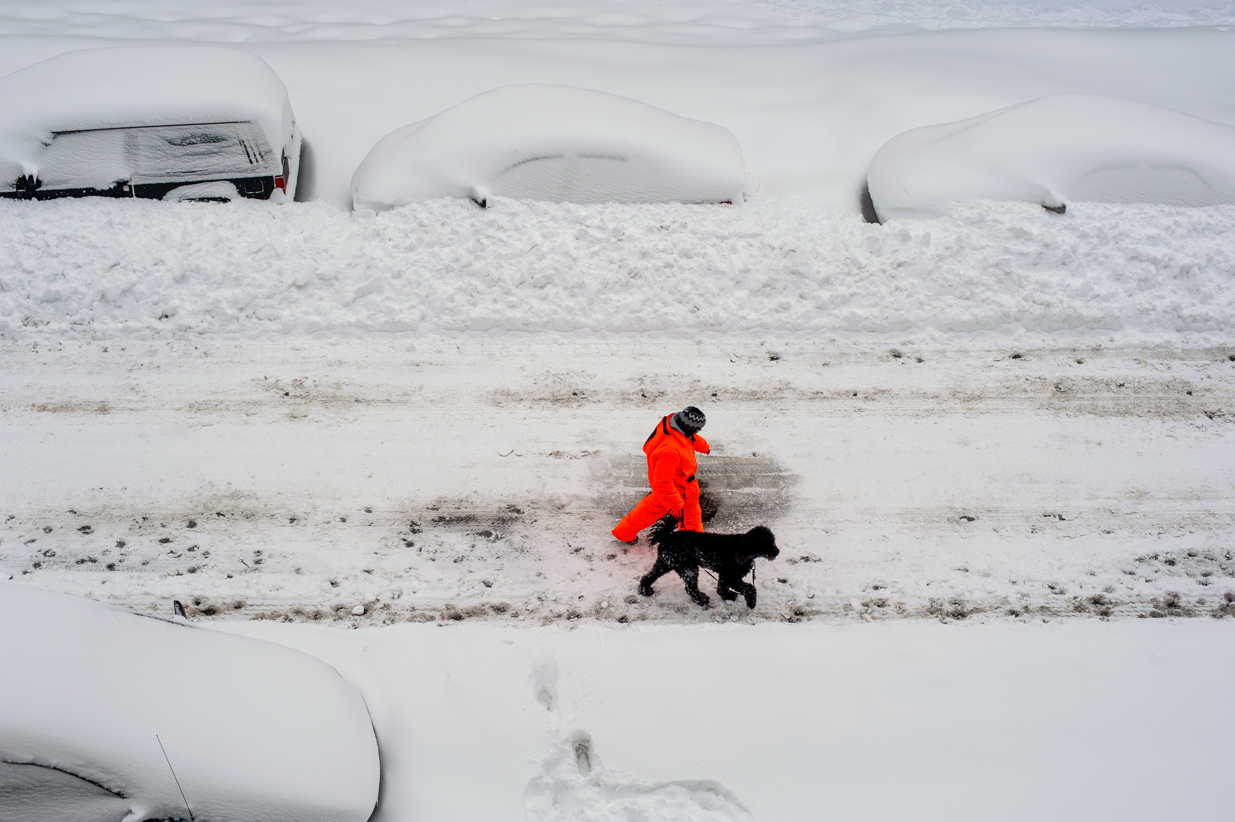 WALKING THE DOG IN THE SNOW
