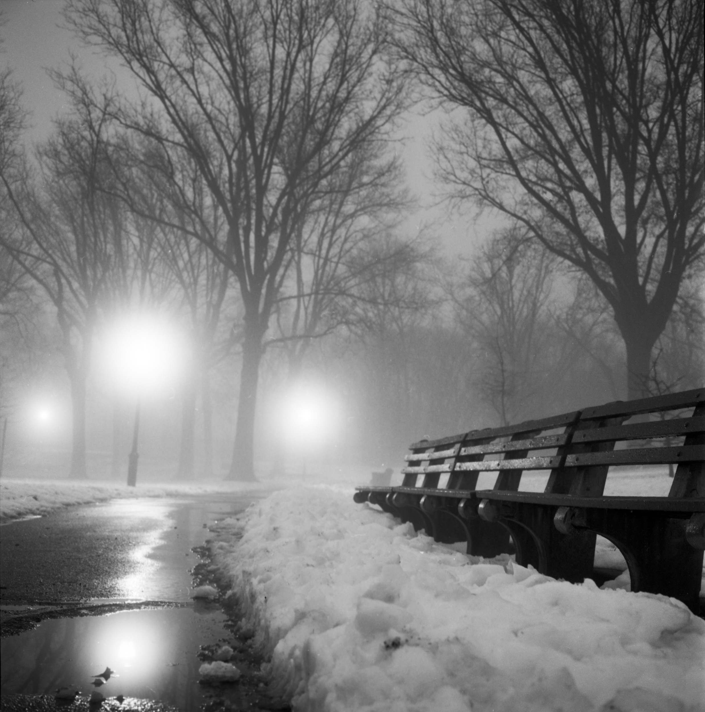 A-MEDIUM-FORMAT-FILM-LONG-EXPSOURE-OF-A-FOGGY-AND-SNOWY-NIGHT-IN-PROSPECT-PARK-BROOKLYN