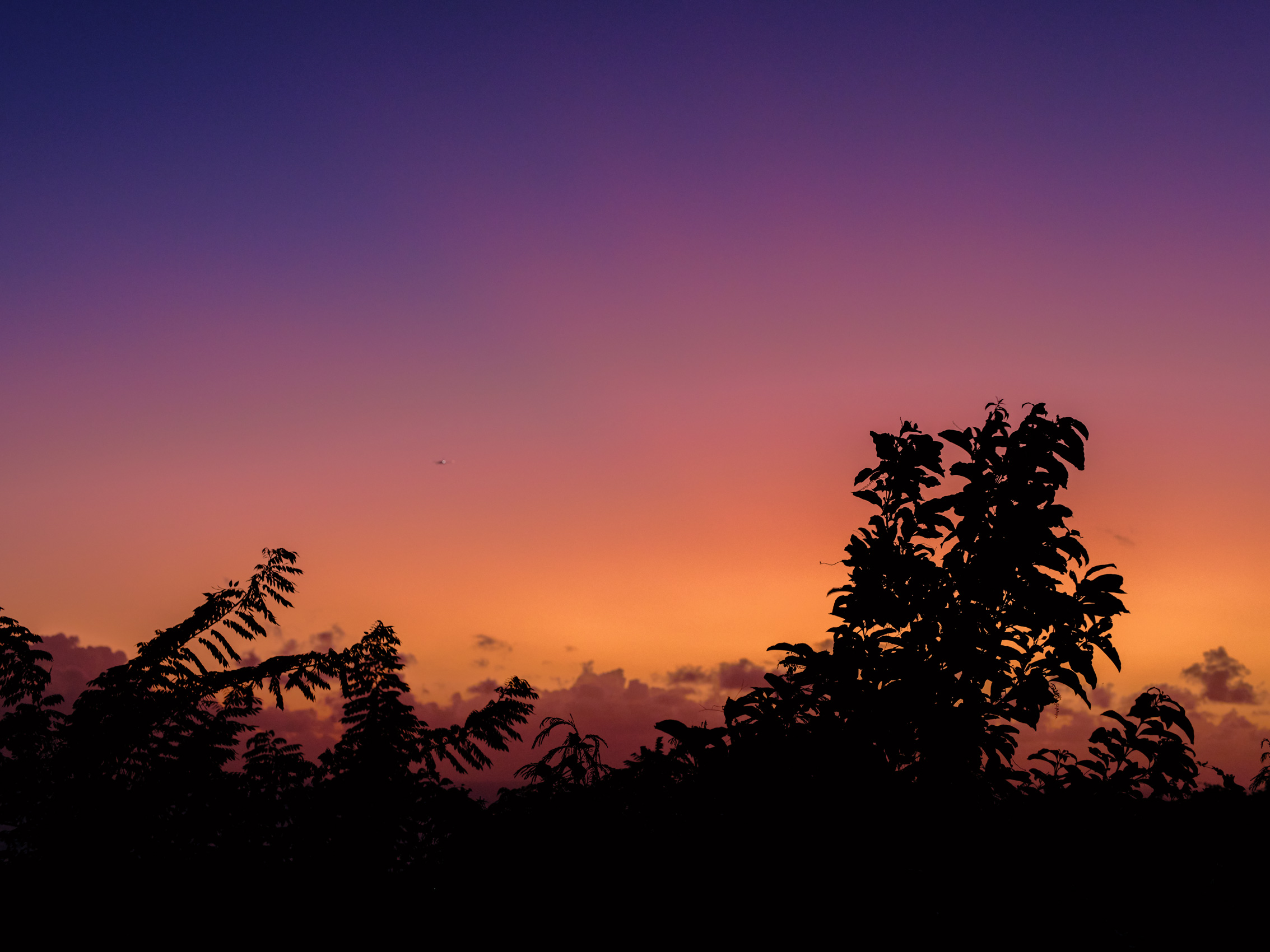 BEAUTIFUL-COLORFUL-SUNSETS-IN-BARBADOS