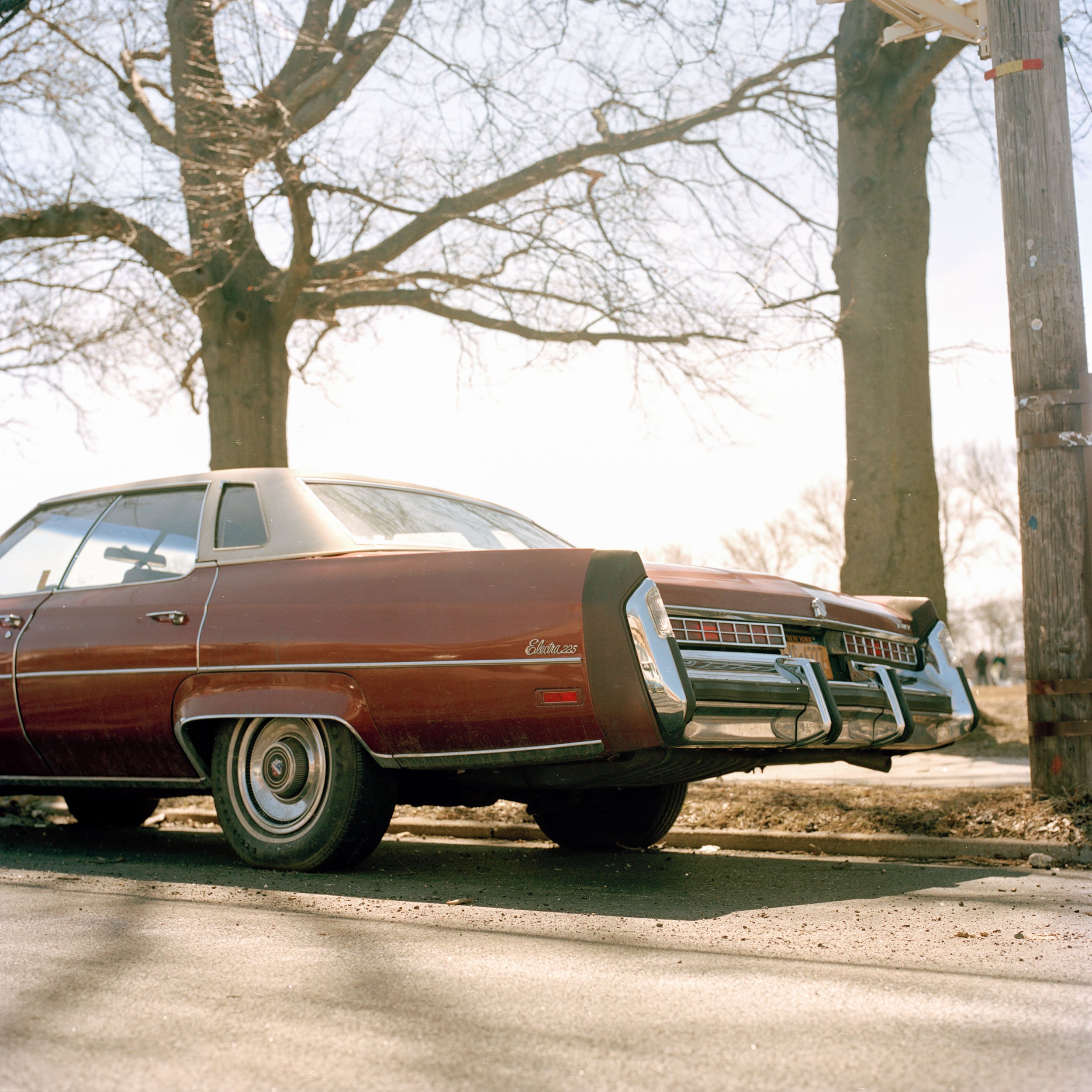 CARS_untitled-65