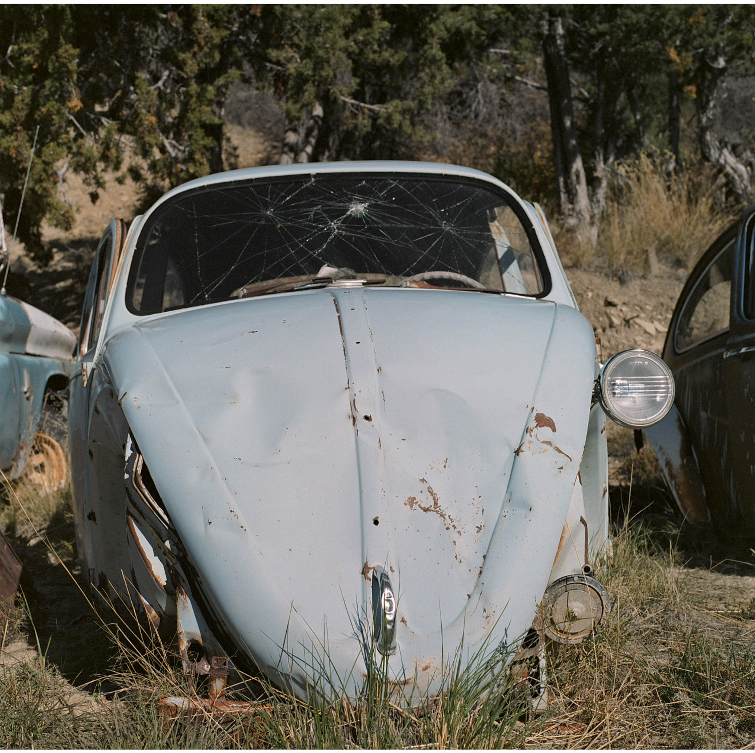 CARS_untitled-676