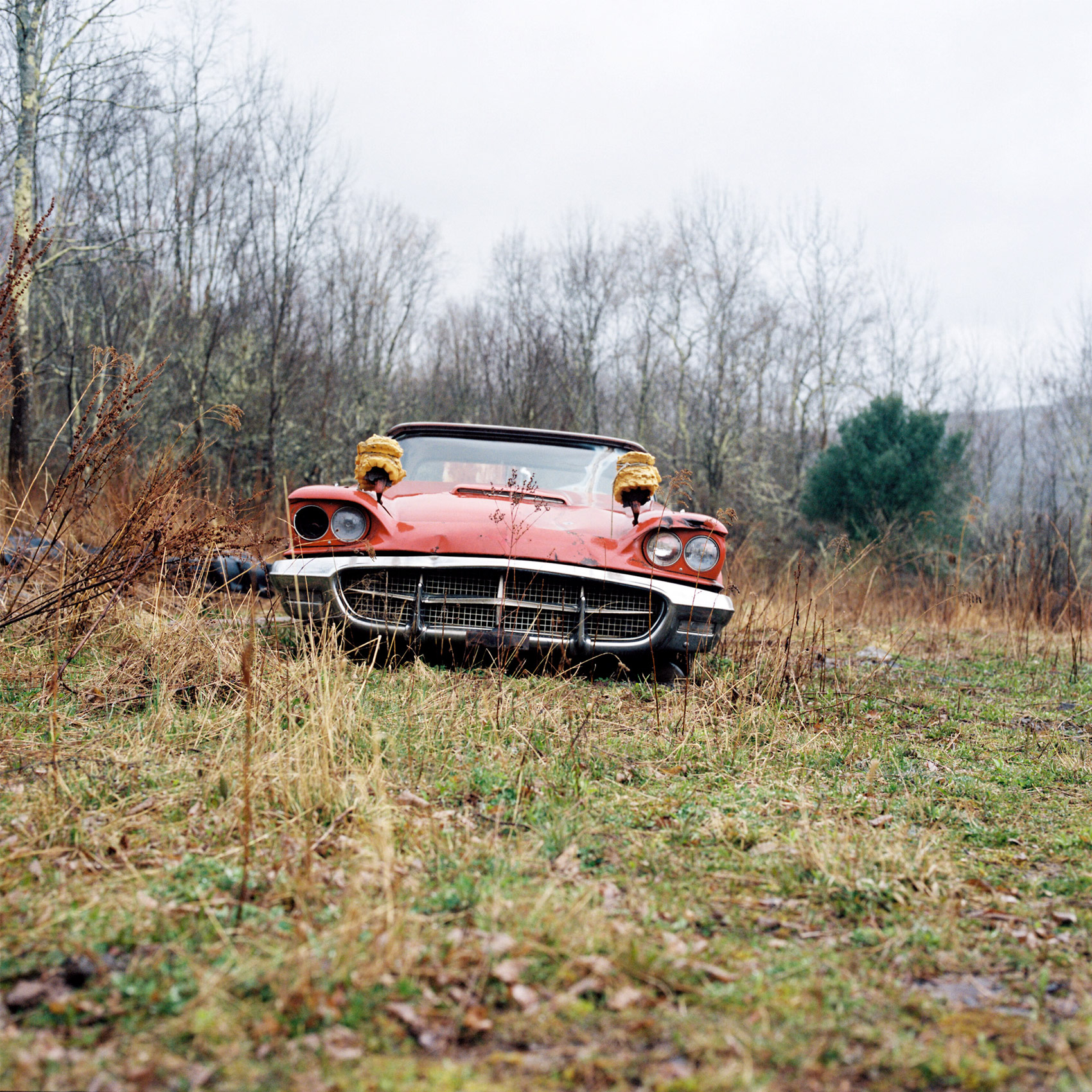 CAR_A-VINTAGE-CAR-SITS-ROTTING-IN-A-FIELD-IN-UPSTATE-NEW-YORK-ON-A-DRIZZLY-COLD-DAY