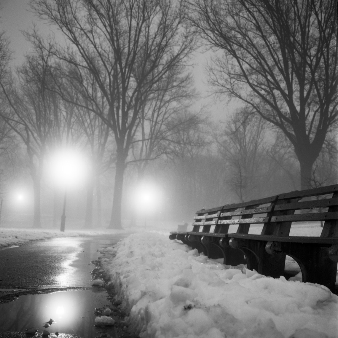 Prospect parkk benches at night, Prospect Park, Brooklyn. 