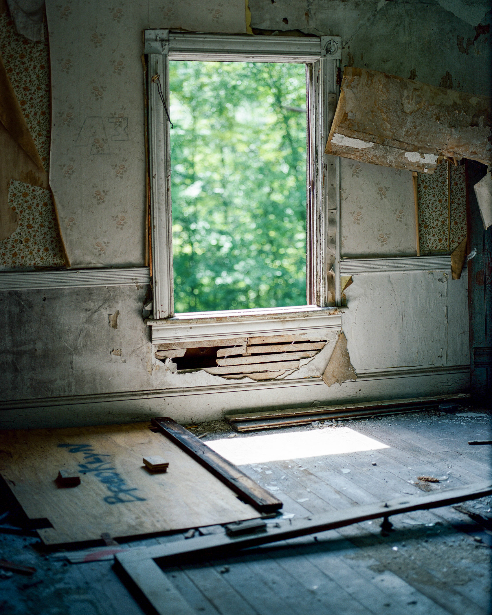 THE-OUTSIDE-LEAVES-OF-A-TREE-POKE-THROUGH-A-ROTTING-WINDOW-IN-A-derelict-HOUSE-IN-NEW-JERSEY